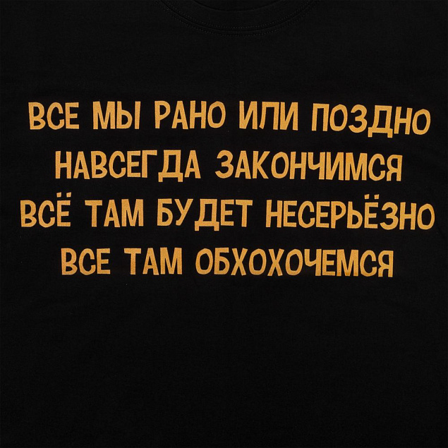 Футболка «Шут», черная с логотипом в Люберцах заказать по выгодной цене в кибермаркете AvroraStore