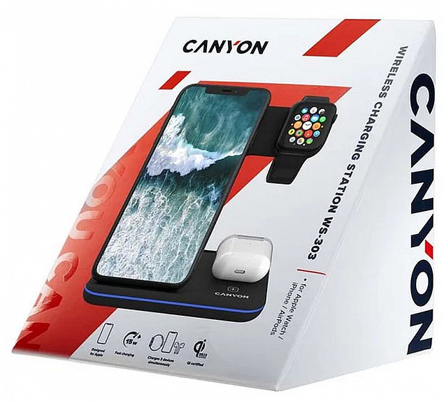 Зарядная станция CANYON WS-303, черная с логотипом в Люберцах заказать по выгодной цене в кибермаркете AvroraStore